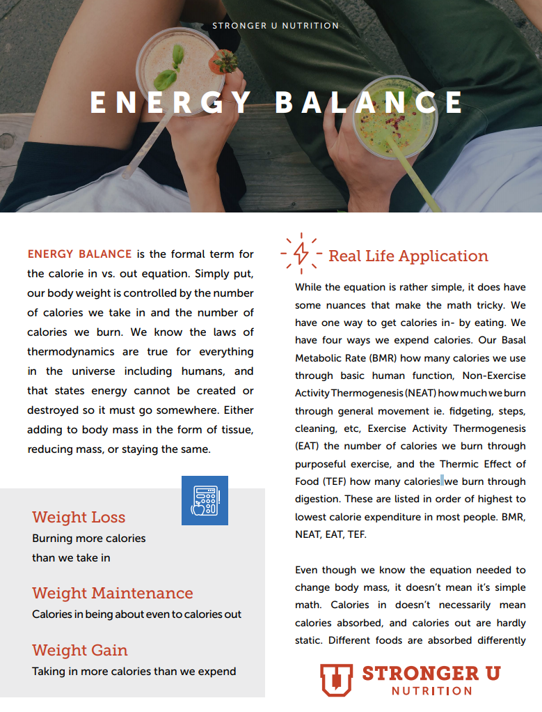 energy balance essay